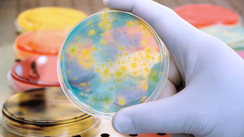 重组蛋白生物制品代理加盟，如何规避潜在风险？**