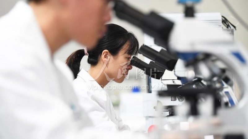 广州引物合成：精准科研的“基石”**