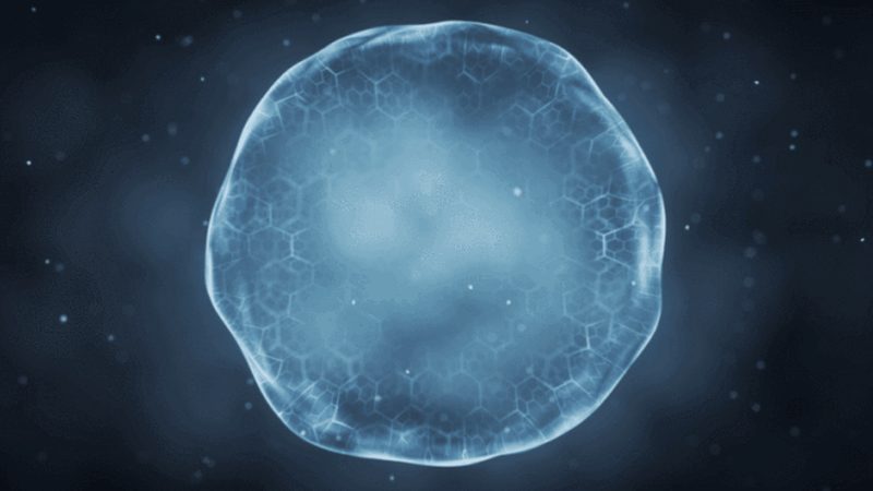 PCR检测灵敏度对比：揭秘不同方法的应用与优劣
