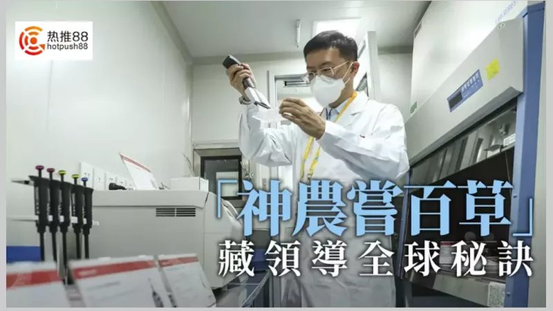 基因测序定制化流程：揭秘精准医疗的幕后步骤