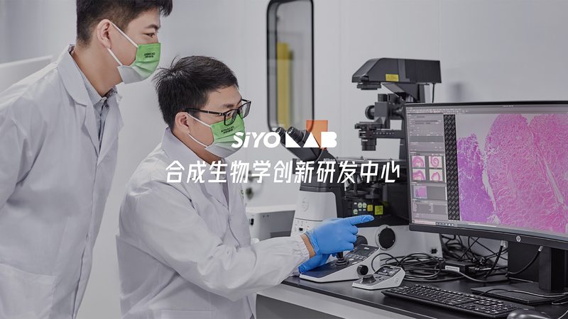 CDMO代工费用差异背后，藏着哪些定价逻辑