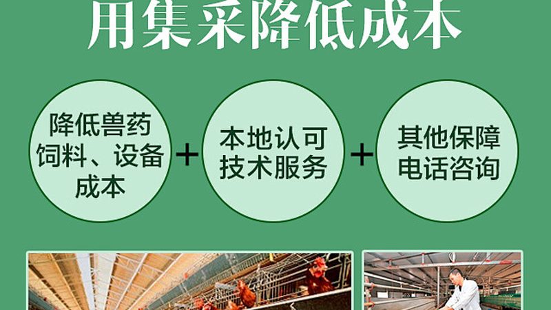 血液制品代理加盟，哪些条件是关键？**