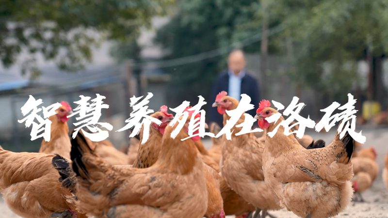 小分子CDMO：揭秘药物研发背后的“隐形功臣