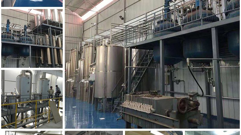 生物制品GMP认证验证：确保产品质量的坚实基石**