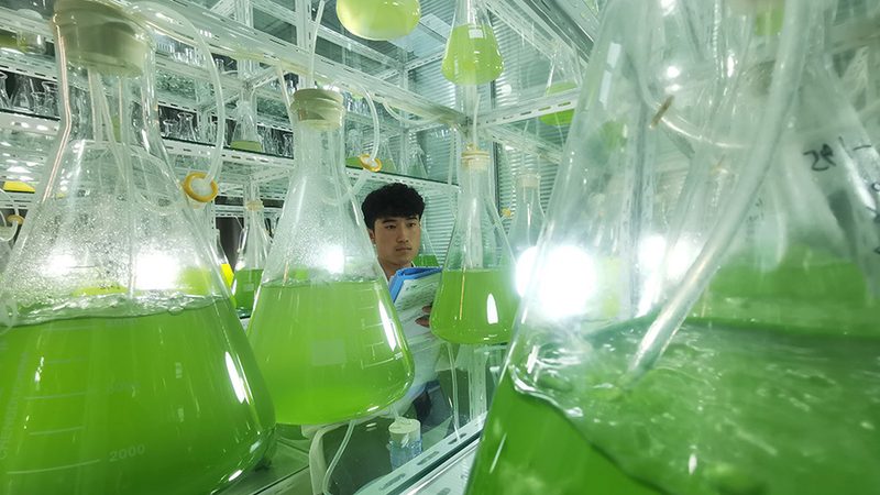 塑料离心管与玻璃试管：实验室中不可或缺的“双璧